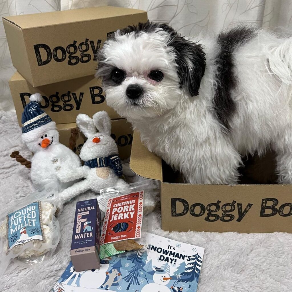 whatsapp image 2023 01 16 at 6.29.51 pm (2) whatsapp image 2023 01 16 at 6.29.51 pm (2)